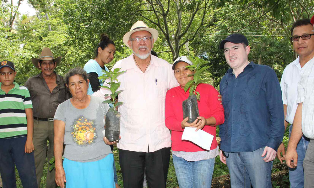 Inicia entrega de más de 14 millones de plantas de café 